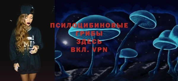 экстази Бородино