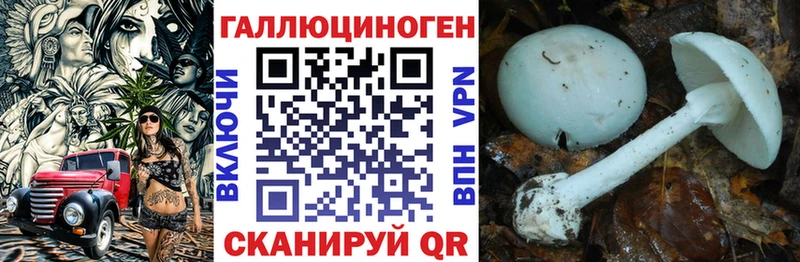 Псилоцибиновые грибы мухоморы  Купить закладки  Гатчина 